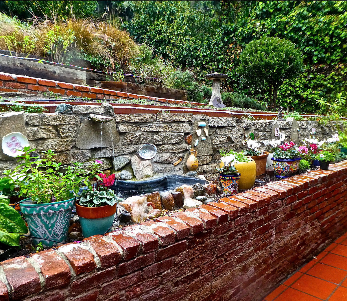 Rainy Day in the Garden